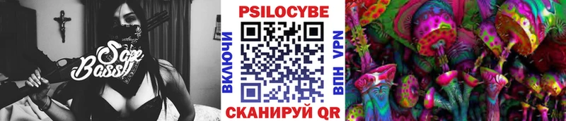 OMG ССЫЛКА  дарнет шоп  Тавда  Псилоцибиновые грибы MAGIC MUSHROOMS 